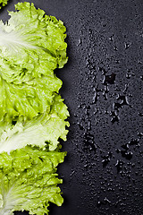 Image showing Green organic lettuce salad leaves frame on wet black background