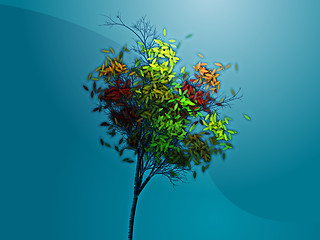 Image showing Autumn tree