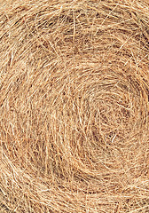 Image showing Hay background