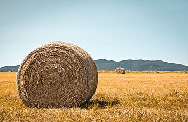 Image showing Rural landscape with bales of hay