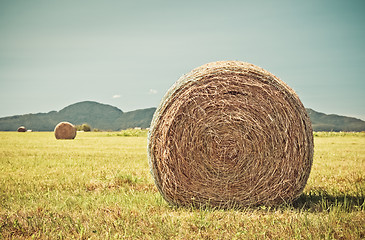 Image showing Round bales of hay in the summer field