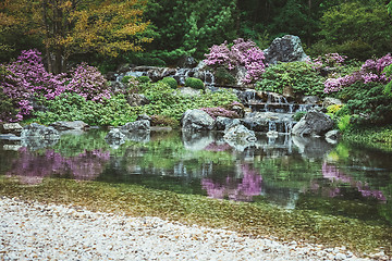 Image showing Pond in a blooming Japanese garden