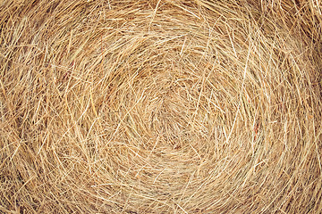 Image showing Hay texture