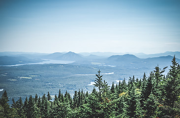 Image showing Boreal forest and misty mountains