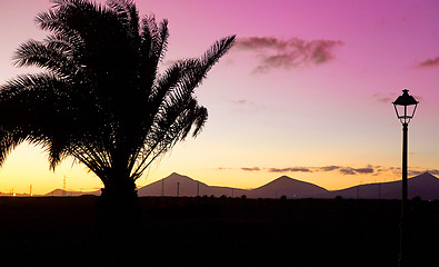 Image showing Silhouettes of Lanzarote