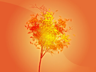 Image showing Autumn tree