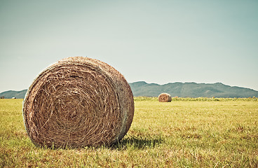 Image showing Bale of hay in the sunny field