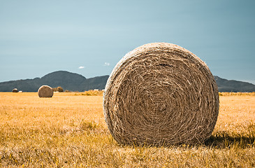 Image showing Country field with bales of hay