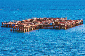 Image showing Mussel Farm in the Sea