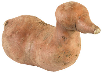 Image showing Ipomoea Batatas Cutout