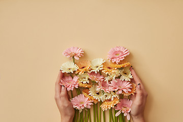 Image showing A bouquet of colorful gerberas girl holds in hands on a yellow paper background.
