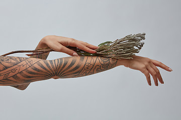 Image showing Female hand with a tattoo decorated with a flower around a gray background with space for text. Layout for your ideas