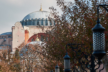 Image showing view of the domes of the blue mosque