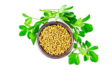 Image showing Fenugreek with green leaves in bowl on top