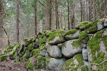 Image showing Old moss grown dry stone wall in a forest