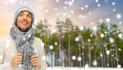 Image showing smiling man in hat and scarf over winter forest