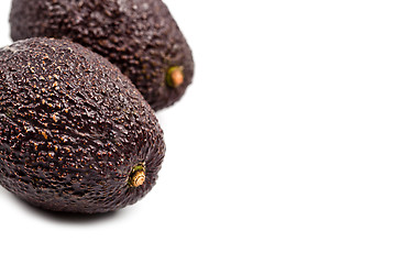 Image showing Two fresh organic avocado closeup on white background.