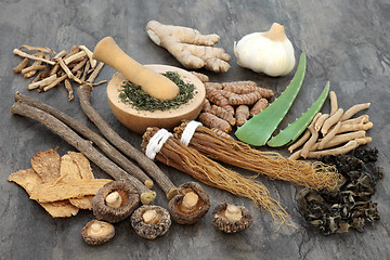 Image showing Adaptogen Herbs and Spices