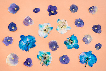 Image showing Dried pansies on peach canvas background