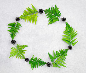 Image showing Frame made of wild forest fern and conifer cones