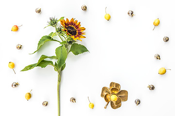 Image showing Sunflower and apples frame on white background