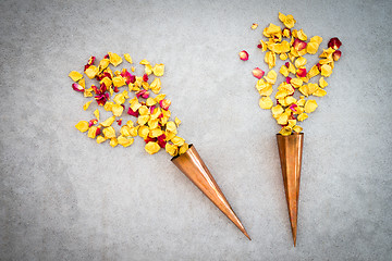 Image showing Two vintage copper cones with rose petals