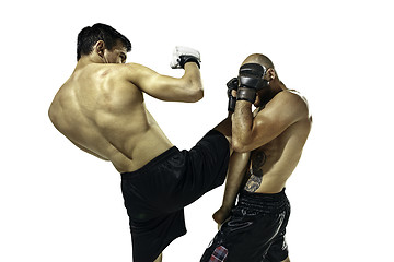 Image showing Two professional boxer boxing isolated on white studio background