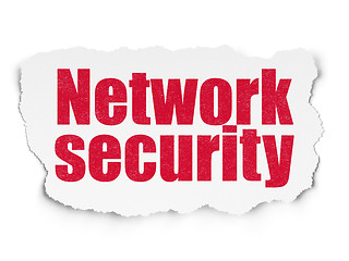 Image showing Privacy concept: Network Security on Torn Paper background