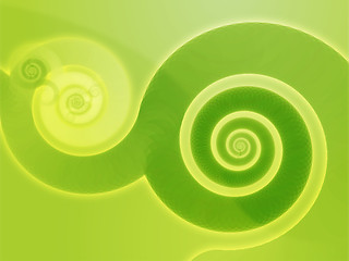 Image showing Swirly spirals