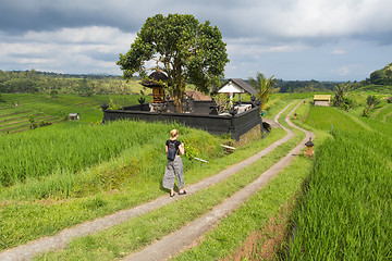 Image showing Female tourist walking a path among Jatiluwih rice terraces and plantation in Bali, Indonesia.