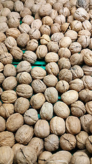 Image showing Walnuts close up