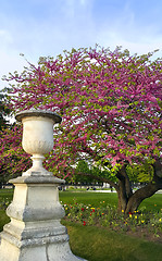 Image showing Decoration of Tuileries garden