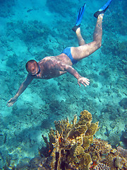 Image showing Diver