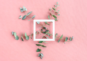 Image showing White frame and eucalyptus on rose colored canvas