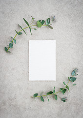 Image showing Blank canvas and eucalyptus on concrete background