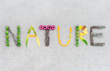 Image showing Nature written with leaves and flowers