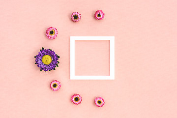 Image showing Pink strawflowers and white frame