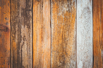 Image showing Orange driftwood background