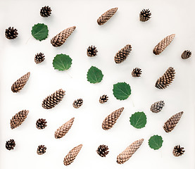 Image showing Fir cones and green leaves flat lay