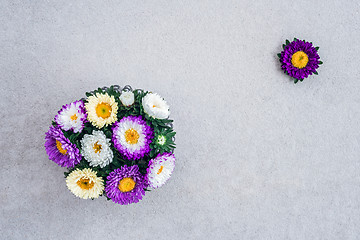 Image showing Bouquet of asters on concrete background