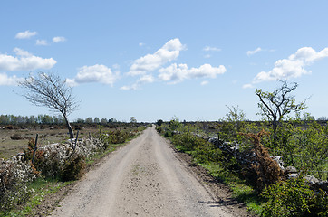 Image showing Dirt road into the great plain grassland Alvaret at the swedish 