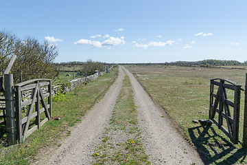 Image showing Dirt road with wooden gates by a great plain grassland at the sw