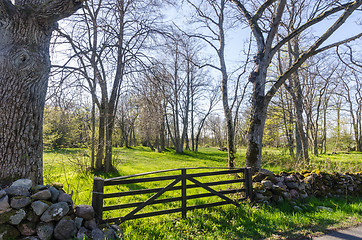 Image showing Old wooden gate in a beautiful landscape by spring season