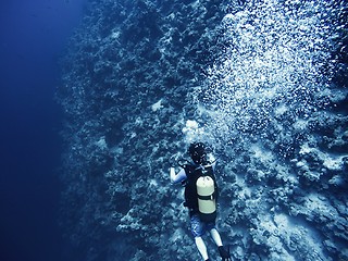 Image showing Scuba diver descending to the bottom