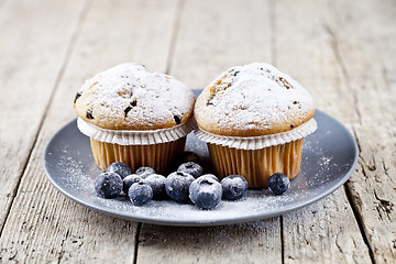 Image showing Homemade fresh muffins with sugar powder and blueberries on cera