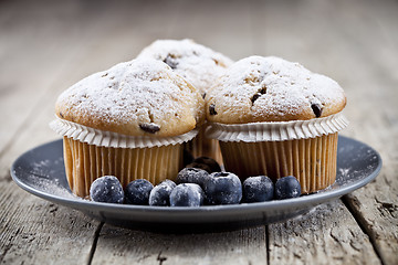 Image showing Homemade fresh muffins with sugar powder and blueberries on cera