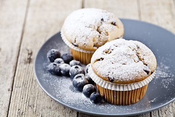 Image showing Homemade fresh muffins with sugar powder and blueberries on cera