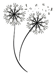 Image showing Pair of a dandelion silhouette vector or color illustration