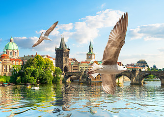 Image showing Seagulls and bridge