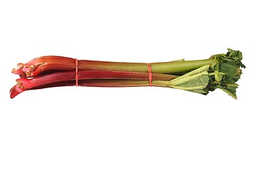 Image showing Rhubarb on white